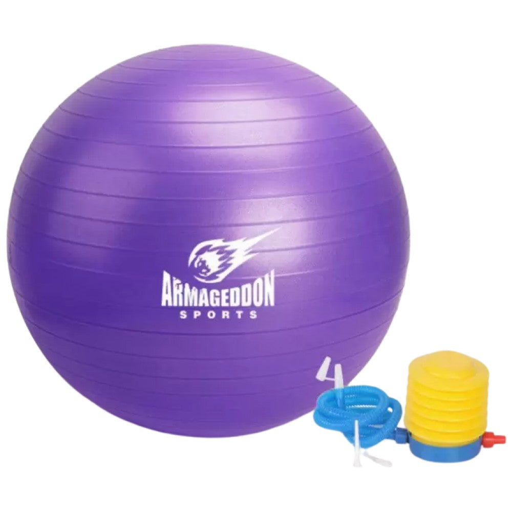Gymnastic Ball With a Pump 85 cm / Gymnastic Ball with a Pump 85 cm