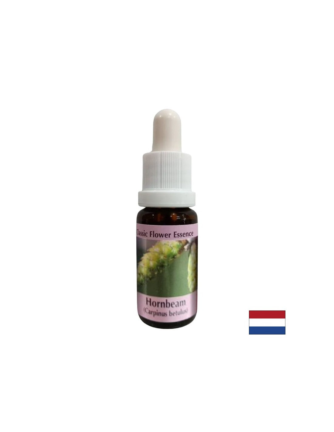 Pro více energie a motivace - Hornbeam Essence No. 17, pokles 15 ml