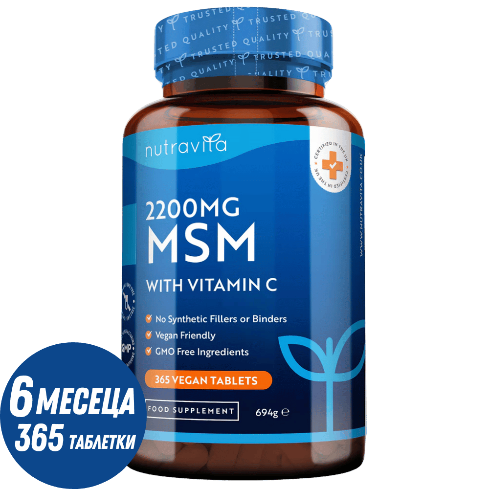 MSM 2200 mg - 365 kart.
