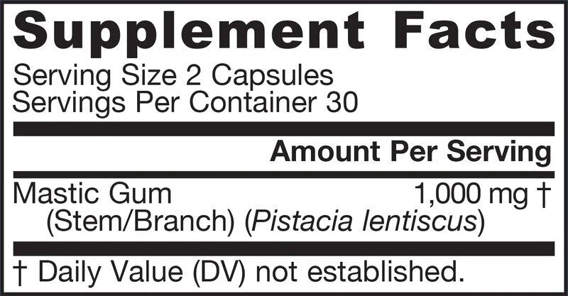 Mastic Gum 500 mg - 60 kapsulių