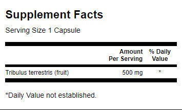 Ovoce Fullspectrum Tribulus 500 mg - 90 tobolek