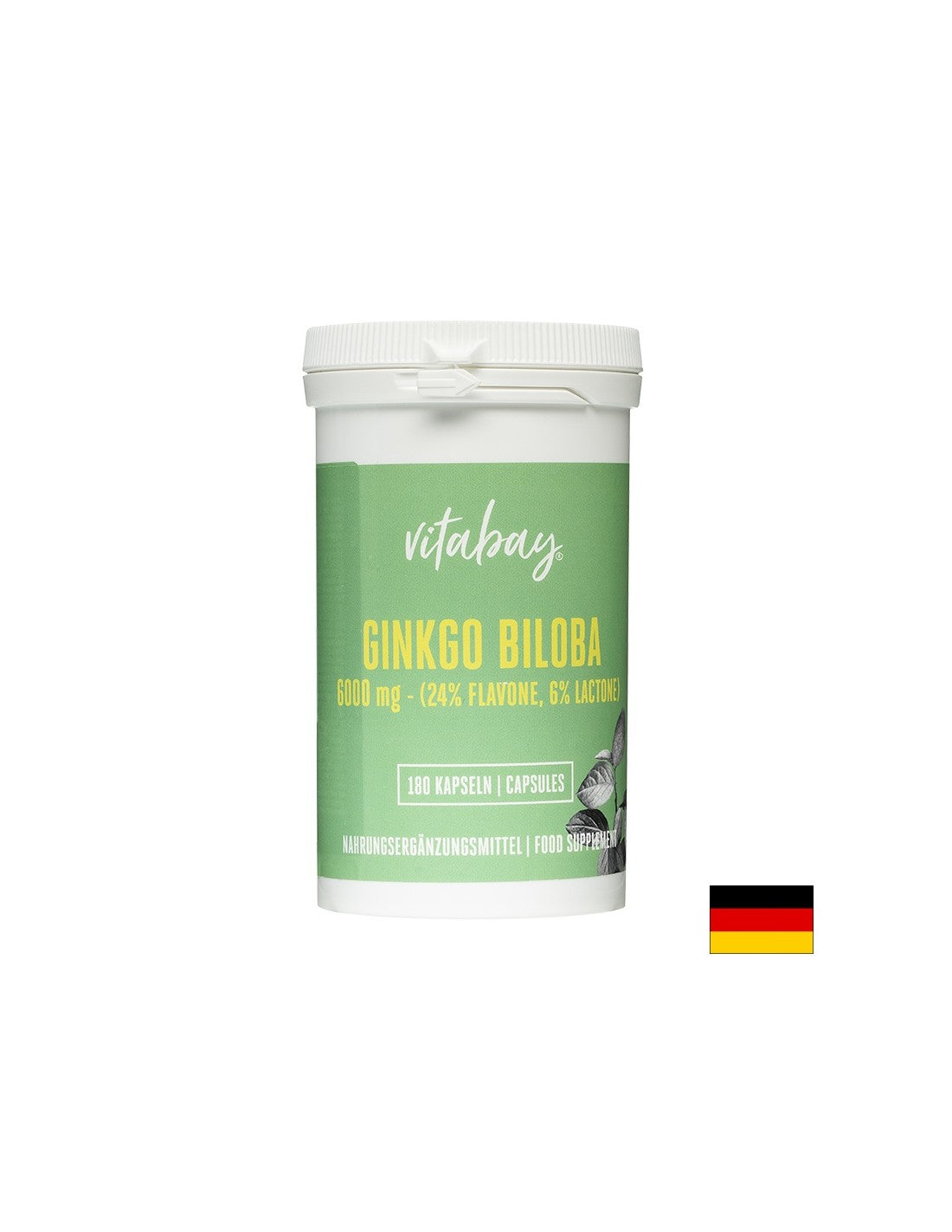 Paměť a koncentrace - Ginkgo Biloba, 6000 mg x 180 tobolek