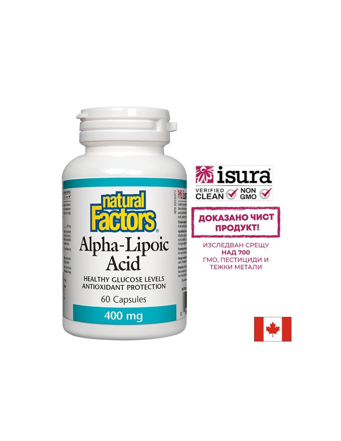 Alpha Lipoic Acid 400 mg - 60 capsules