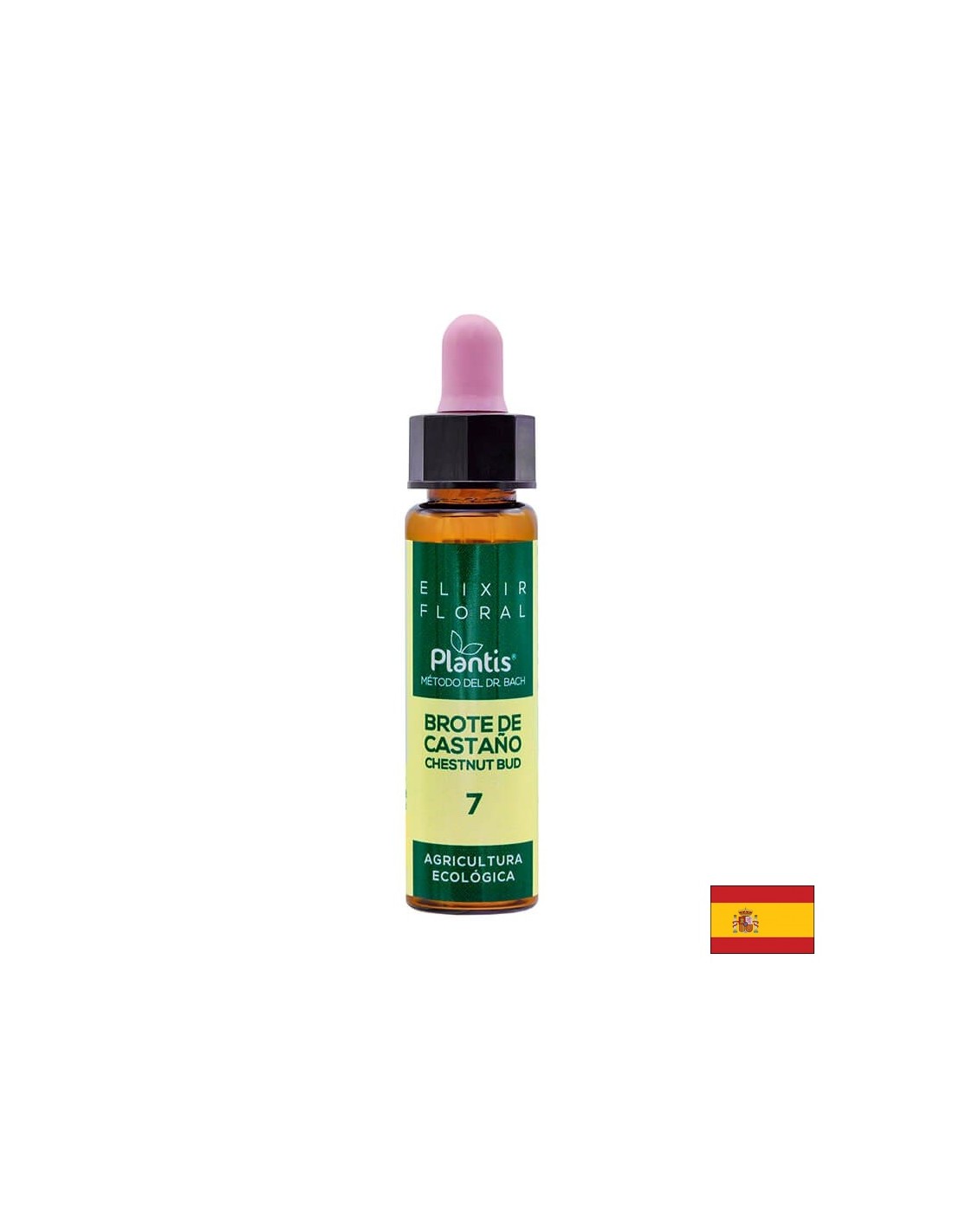 Brote de castaño (Chestnut but) Elixir Floral 7 - Chestnut bud flower elixir, 10 ml Artesania