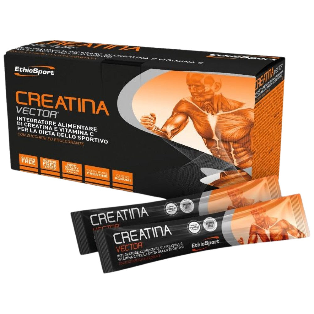 CREATINA VECTOR | Creatine & Amino Acids - 20 x 8 grams