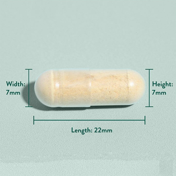 Milk thistle extract (Milk Thistle) 30 capsules HOLLAND & BARRETT