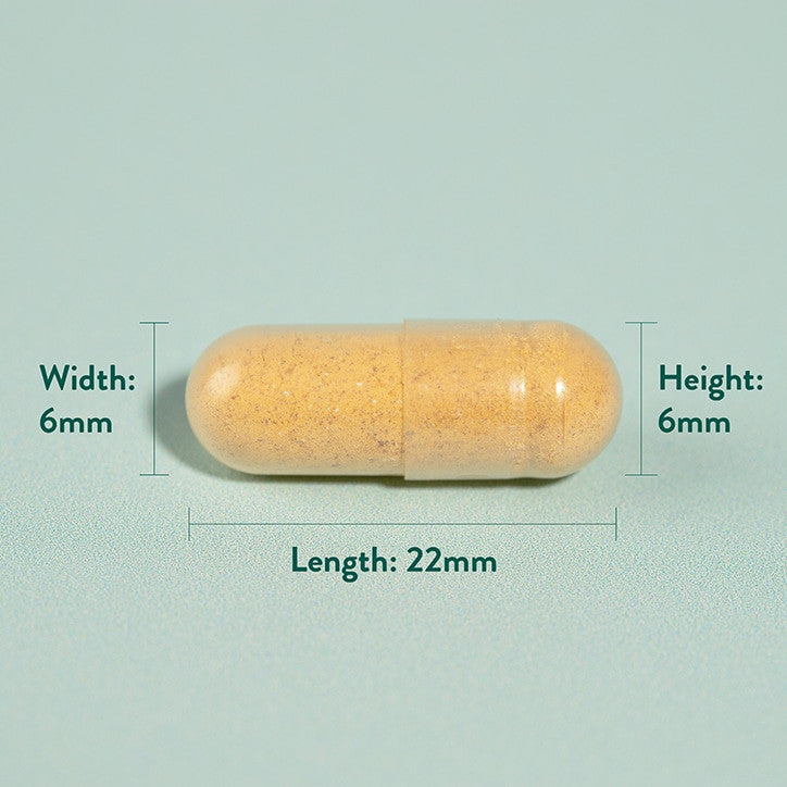 Turmeric 500mg 240 capsules HOLLAND & BARRETT