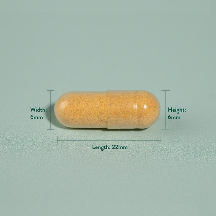 Turmeric 500mg 90 capsules HOLLAND & BARRETT