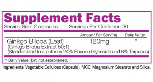 Ginkgo biloba -extract 120 mg 60 capsules