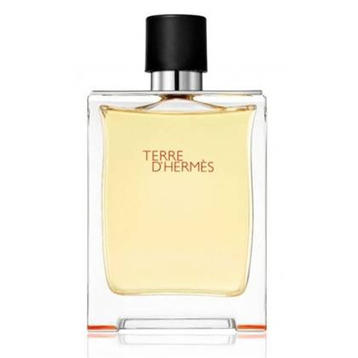 Terre d'Hermes eau de toaletní sprej 50ml