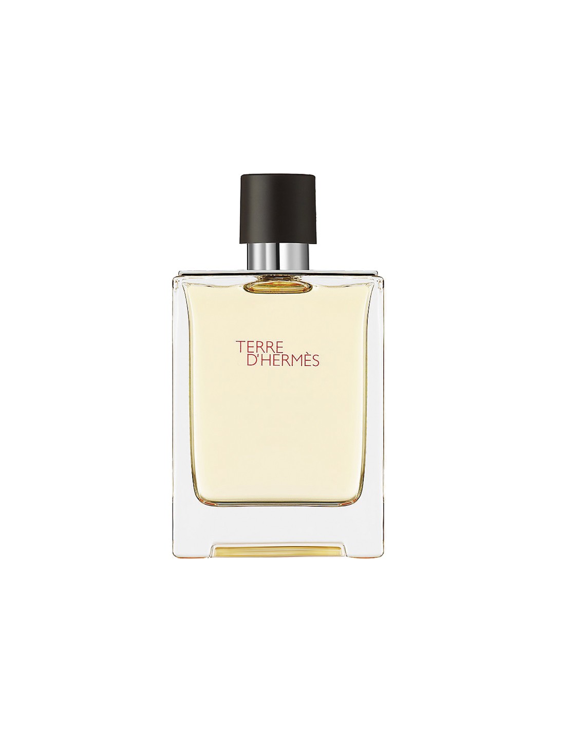 Hermes Terre d'Hermes eau de toaletní sprej 100ml