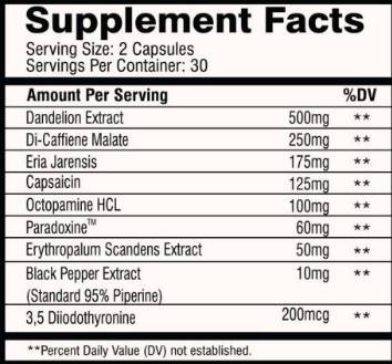 Hybrid | Thermogenic Pre-Workout - 60 capsules