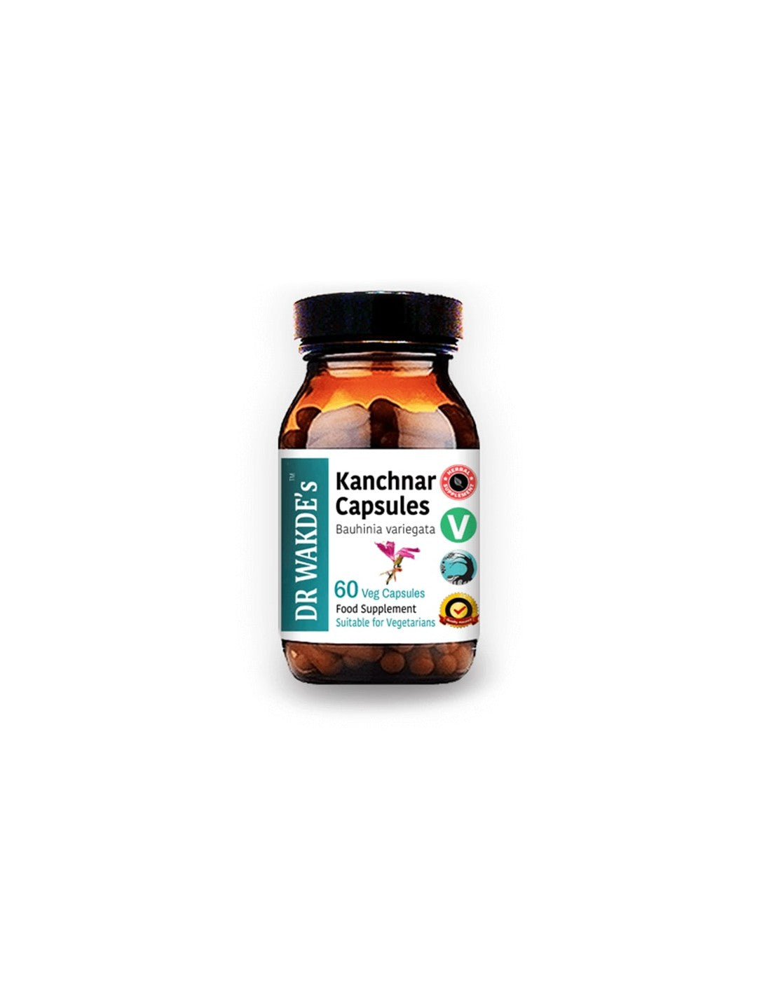 Kanchnar
