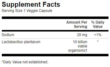Lactobacillus plantarum/l plantarum - 30 cápsulas