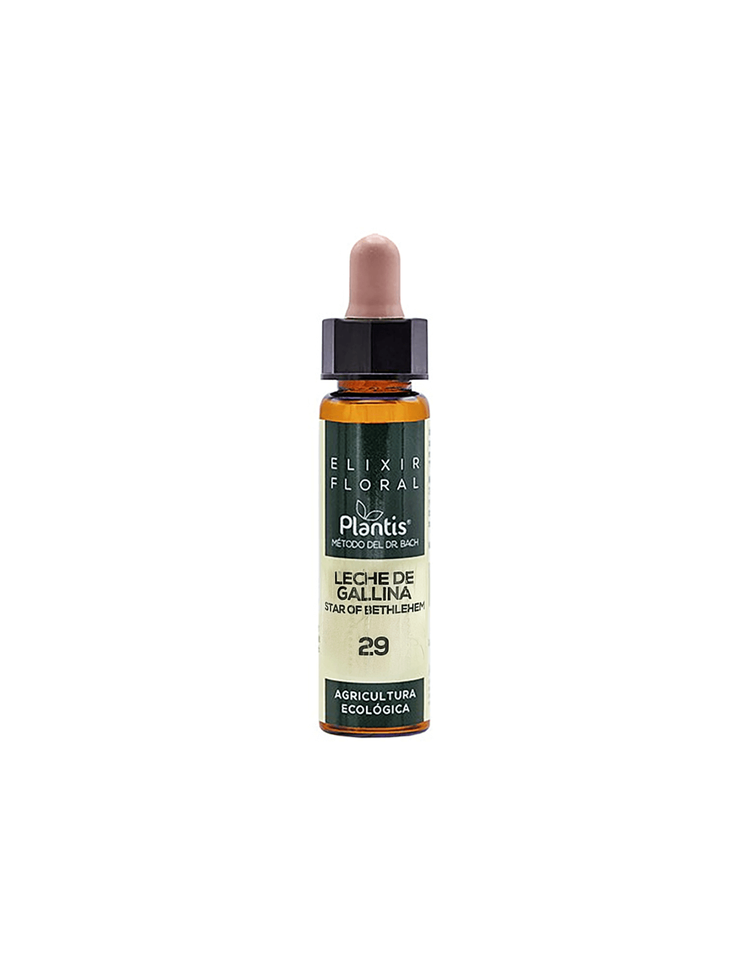 Leche de gallina (Star of Bethlehem) Elixir Floral 29 - Flower elixir of Star of Bethlehem, 10 ml Artesania