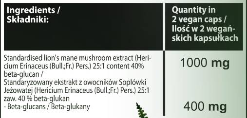 Lion's Mane | 40% beta -glukanů - 60 tobolek
