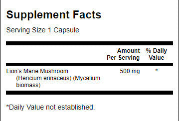 Lion's Mane Champignon 500 mg - 60 Kapselen