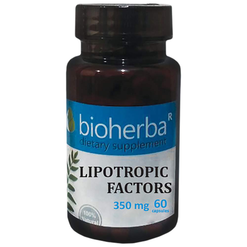 Lipotropic Factors 350 mg - 60 capsules