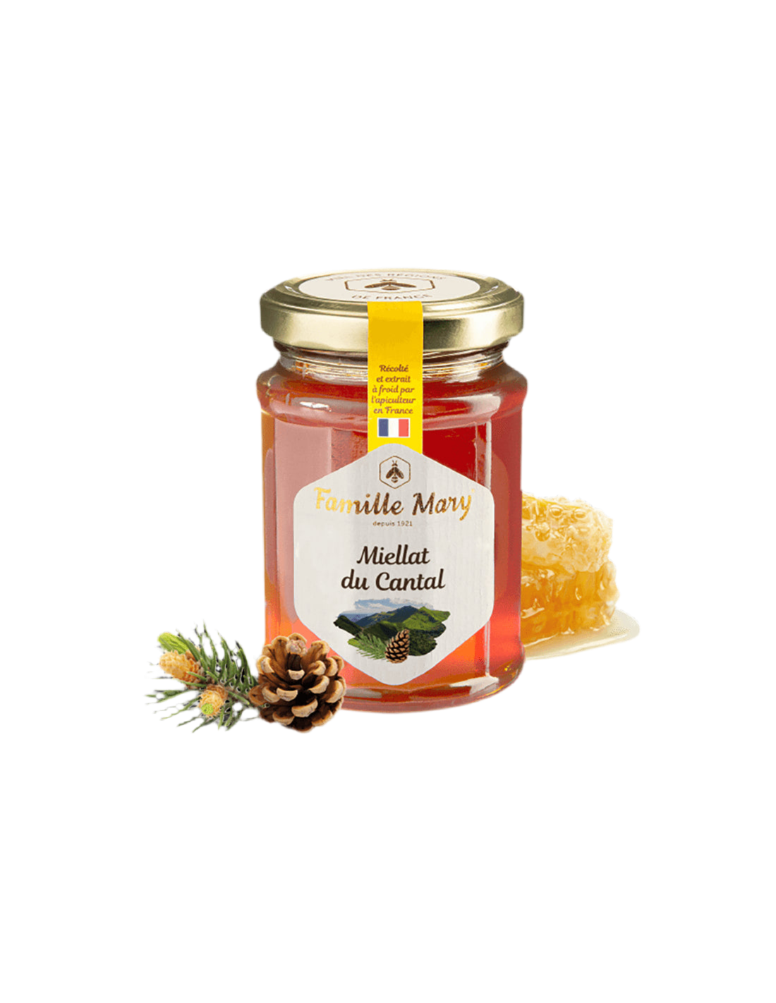 Miellat du Cantatal / Bee Honey (Honeydew) z Pine Needles, 230 G Famille Mary
