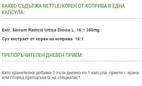 Nettle - 60 capsules