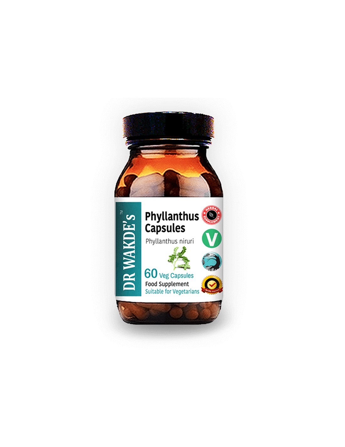 Phyllanthus - for diseases of the liver and spleen, gout, 60 capsules