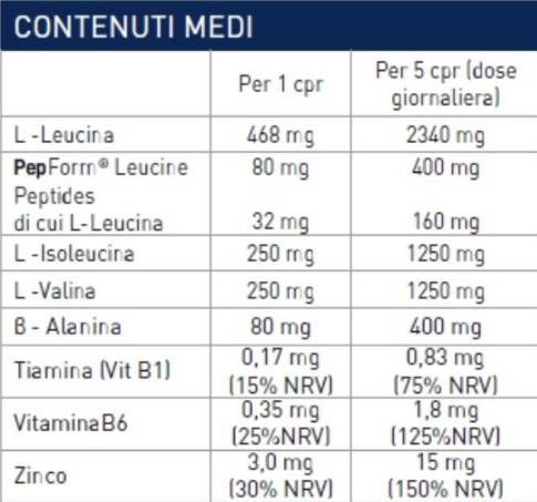 RAMTECH - BCAA 2:1:1 - 360 Tablets