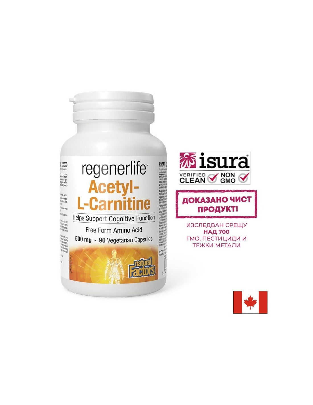 Acetyl-L-Carnitine Regenerlife™ - Energy, concentration and metabolic support, 90 capsules