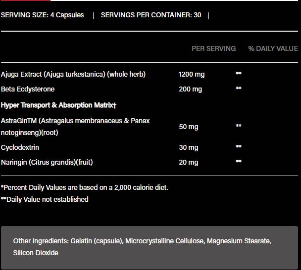 Turkesterone 1200 | with Beta-Ecdysterone & AstraGin - 120 capsules
