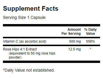 Vitamin C mat Rose Hips 500 mg - 100 Kapselen