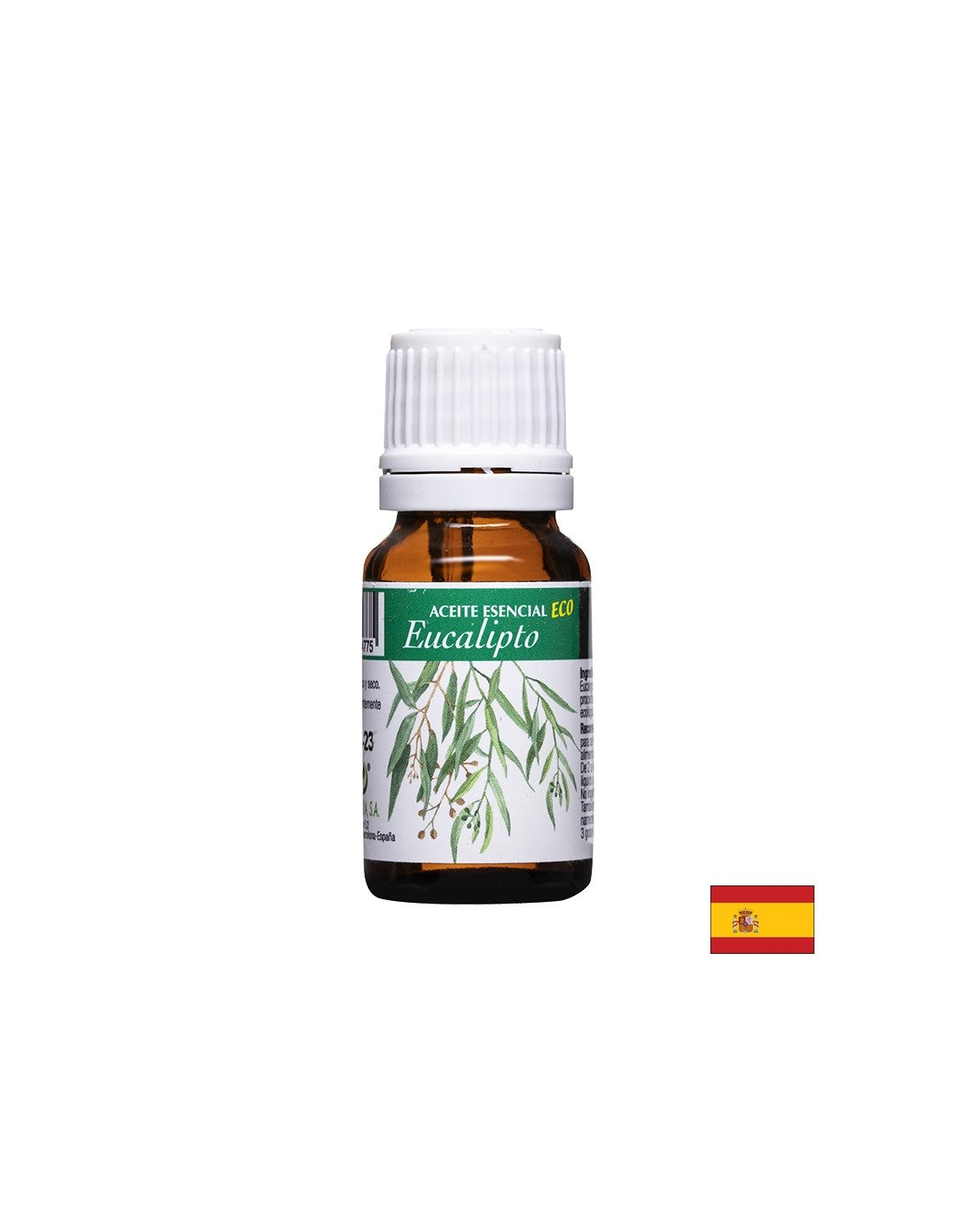 Eucalipto orgánico Aceite esencial - Sistema respiratorio - Eucalipto eco de aceites, 10 ml