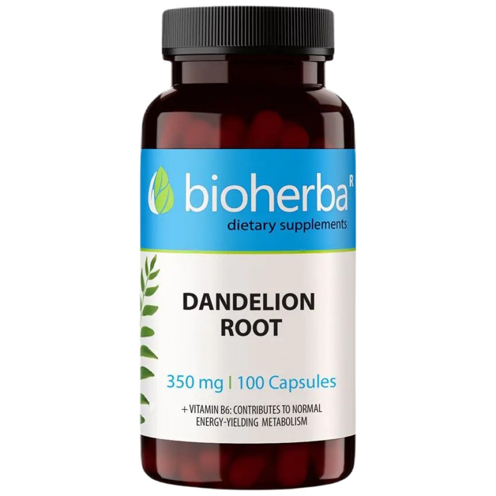 Dandeliewortel 350 mg - 100 capsules