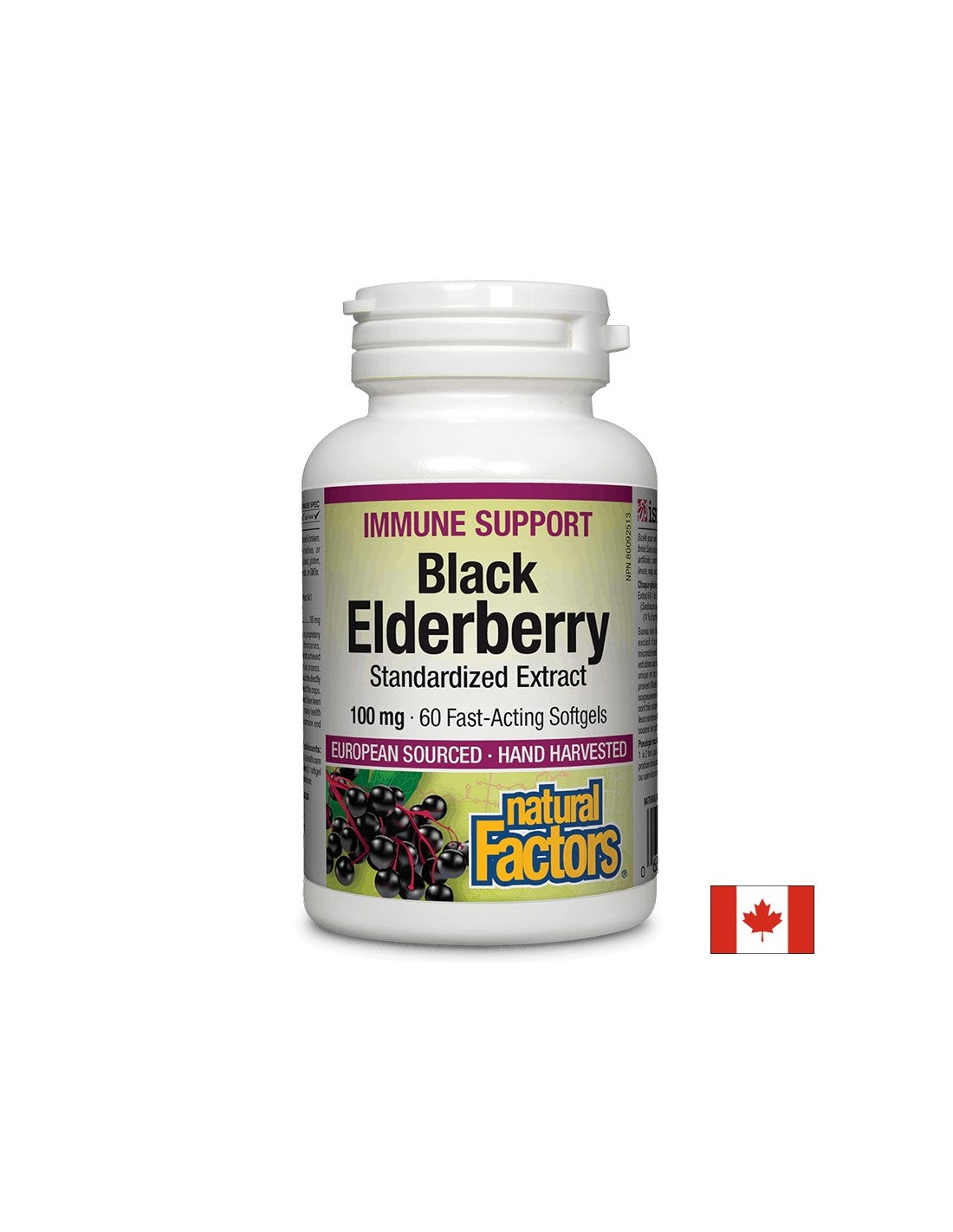 Black Elderberry gestandaardiseerd extract 100 mg - 60 gelcapsules