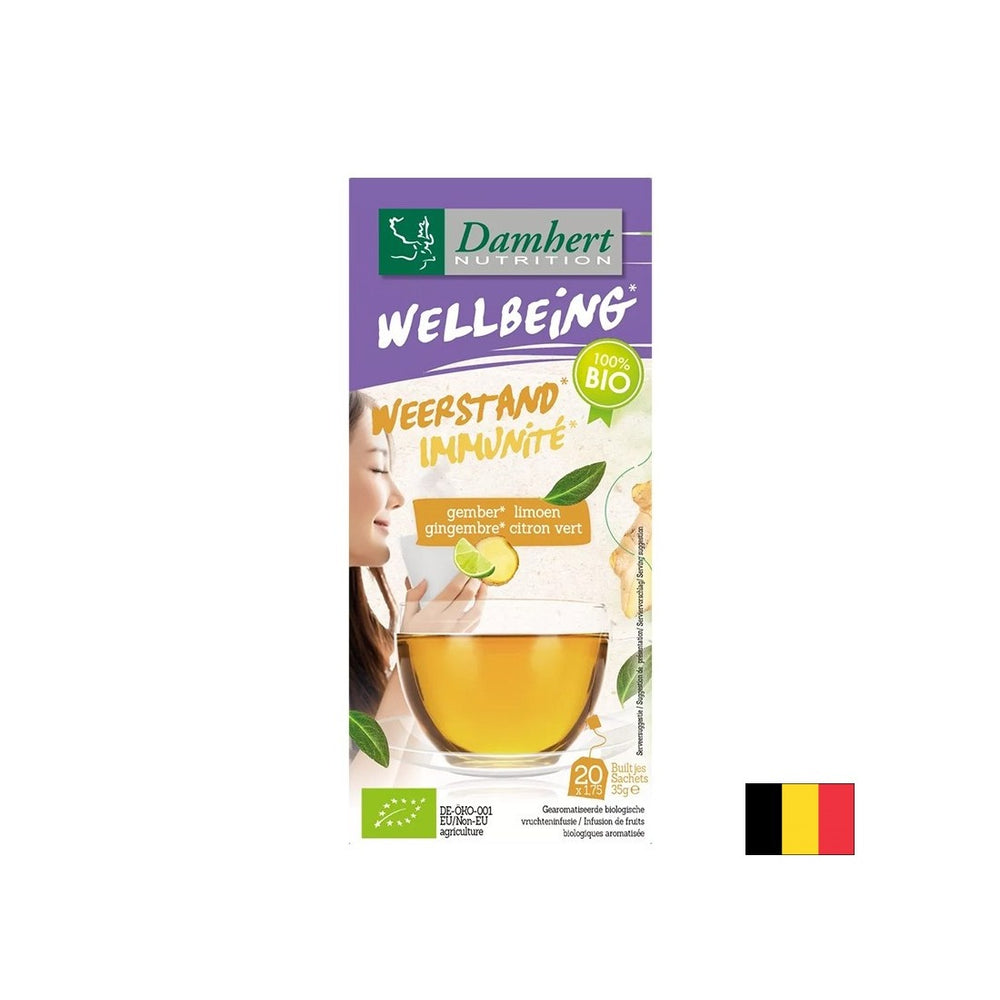 Immunity tea with ginger and lime BIO, 20 filter bags