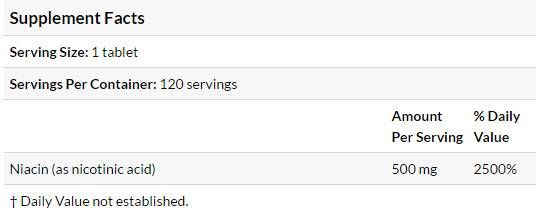 BEST Niacin Time-Released with Niaxtend 500 mg - 120 Tablets