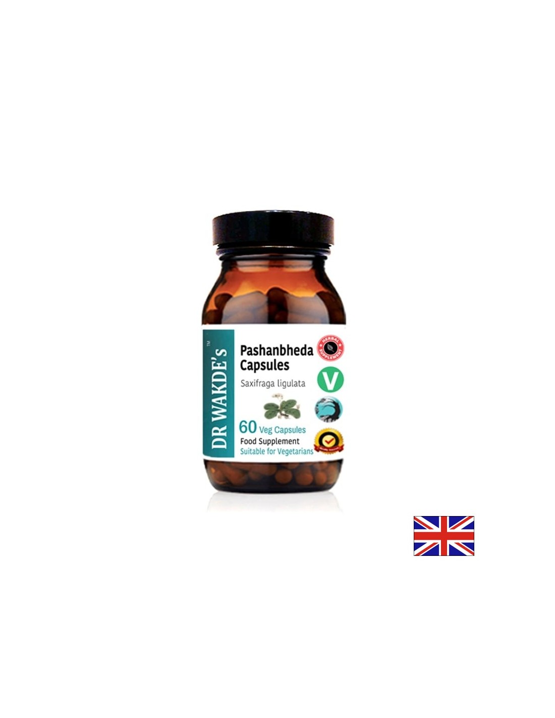 Pashanbheda / Pashanbed Ayurveda, 60 capsules Dr Wakde's