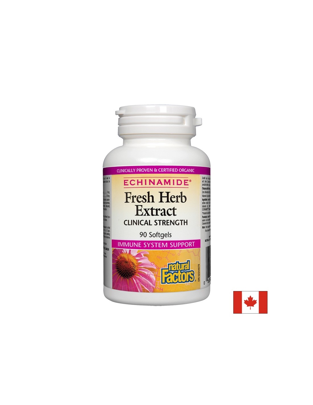 Ech ganz brenner Kruch extrahéieren klinesch Kraaft 250 mg - 90 Gel Kapselen