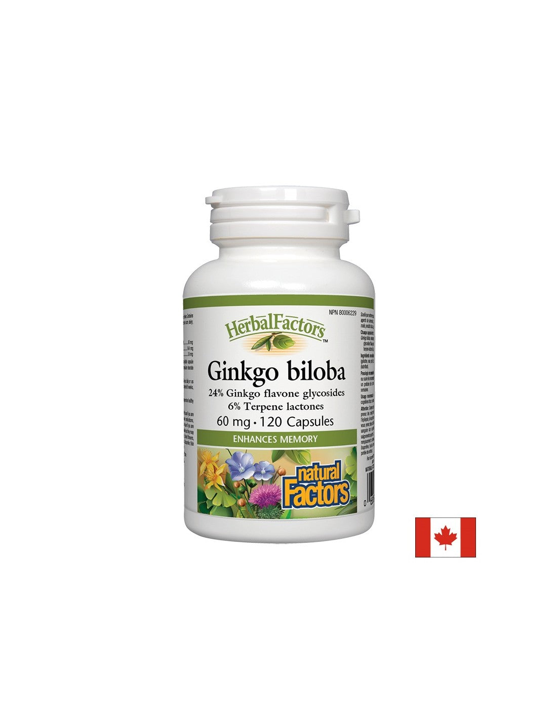 Ginkgo Biloba 60 mg - 120 capsules