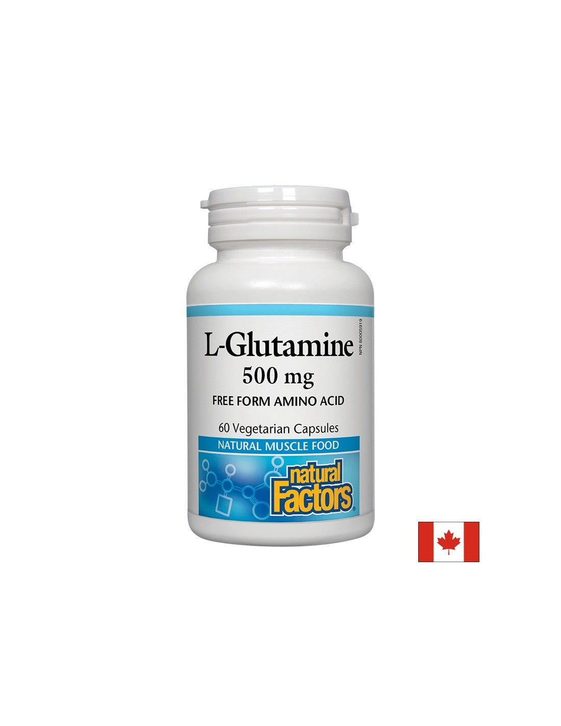 For the intestinal barrier and muscle function - L-glutamine, 500 mg, 60 capsules Natural Factors