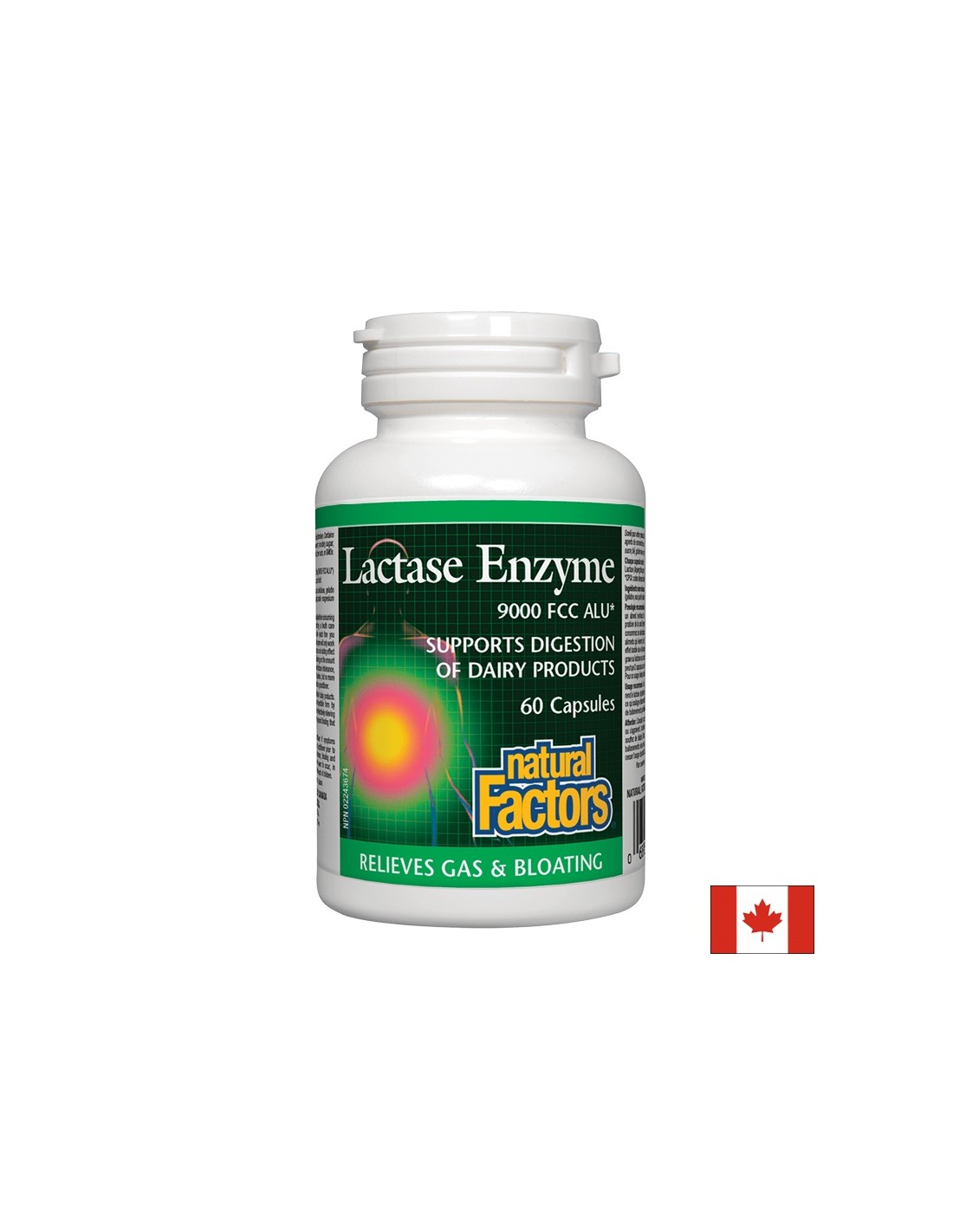 Lactase Enzyme 250 mg - 60 capsules