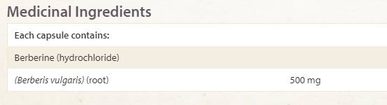 Wellbetex Berberine 500 mg - 60 Kapselen