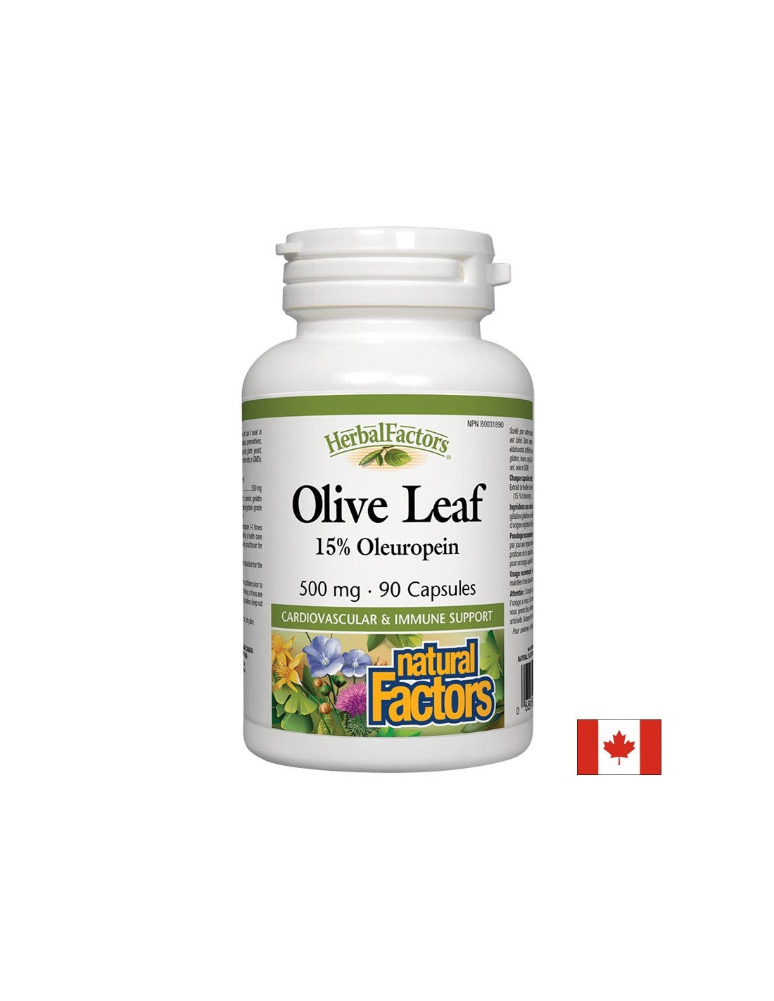 Olive Leaf 500 mg - 90 capsules