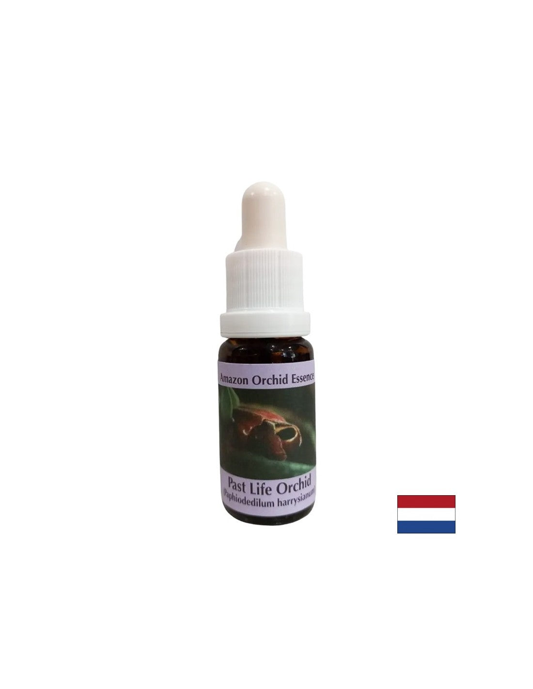 Awareness of the present through the lessons of the past - Past Life Orchid Essence No. 16, drops 15 ml