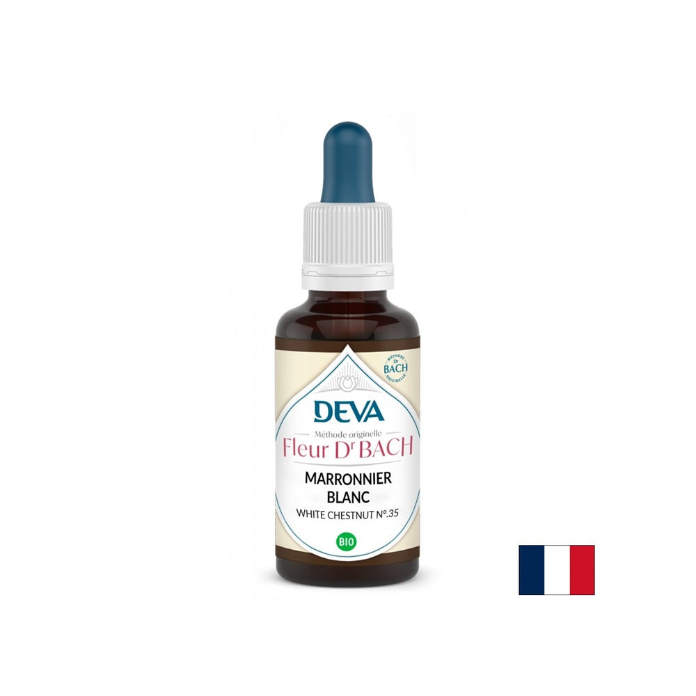 Paměť a koncentrace - Horse Chestnut, Bach kapky č. 35, 15 ml