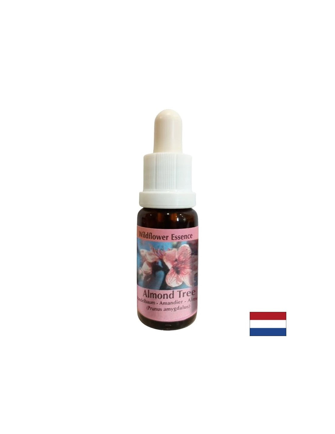 Rejuvenates the body and stimulates healthy eating - Almond Essence No. 31, drops 15 ml