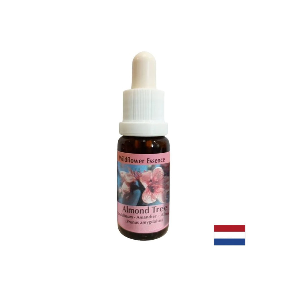 Rejuvenates the body and stimulates healthy eating - Almond Essence No. 31, drops 15 ml