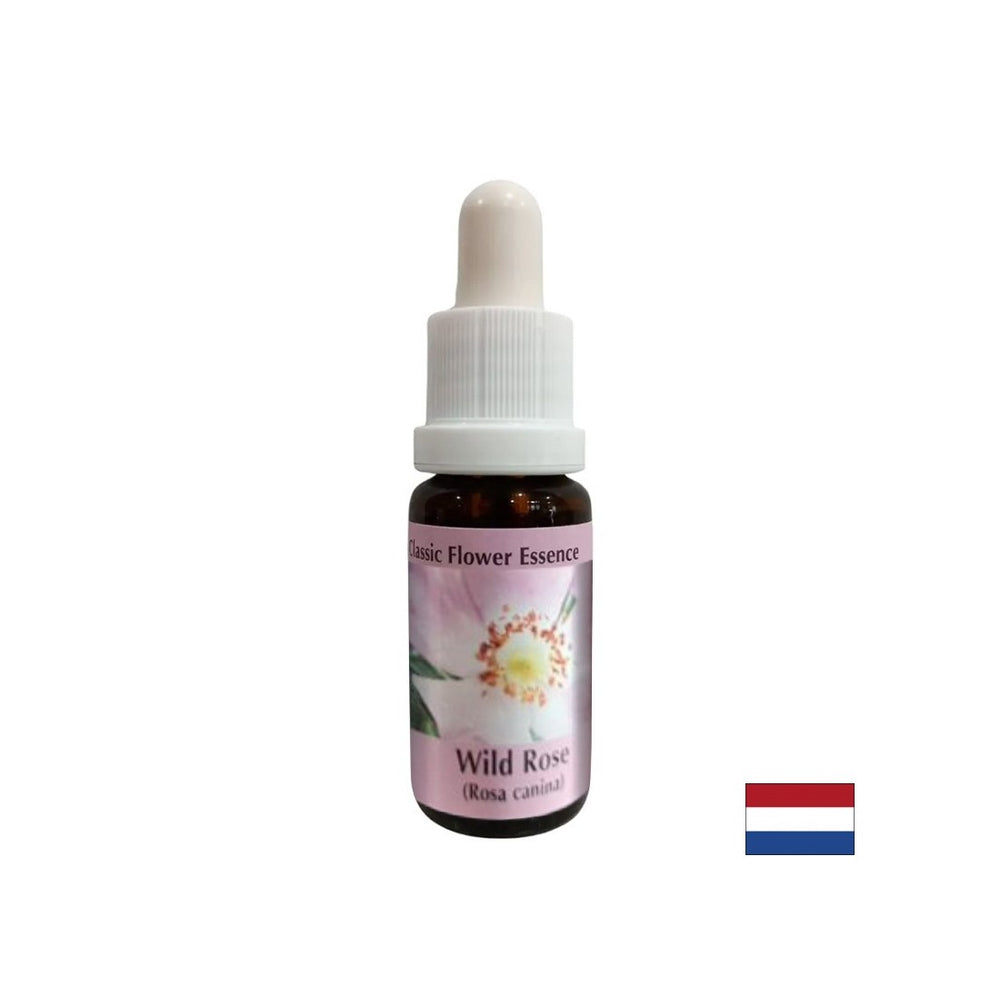 Increases activity and motivation - Rosehip Essence No. 37, drops 15 ml