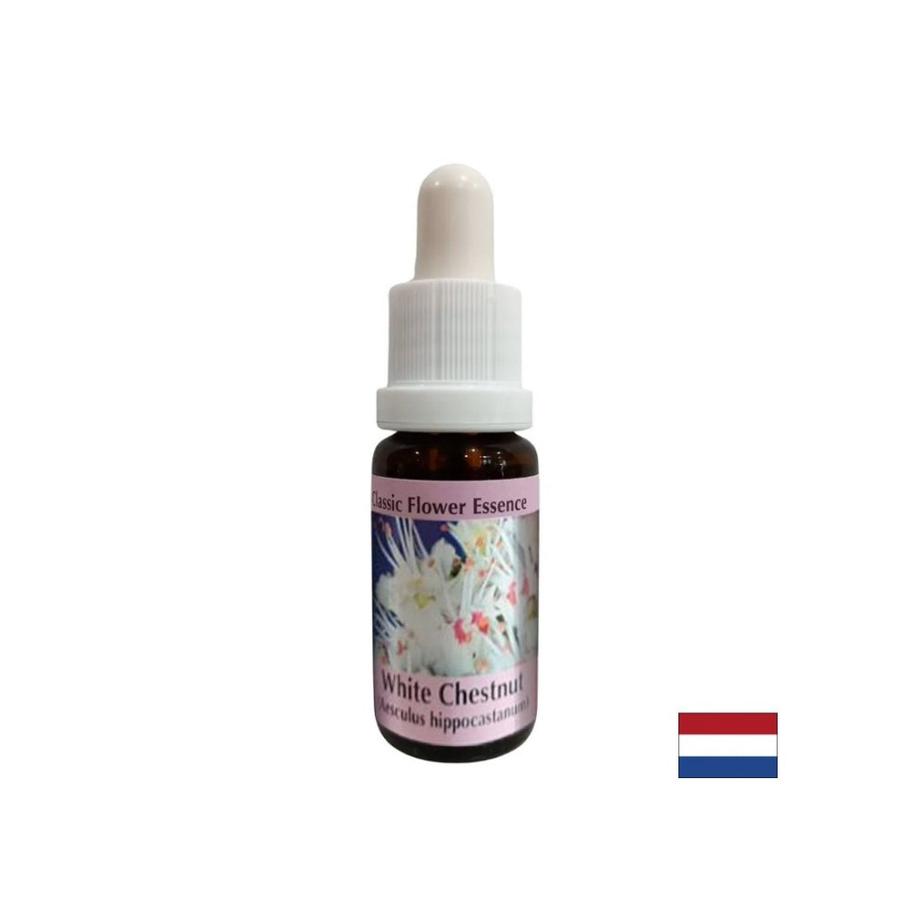 Pro rušivé myšlenky - Horse Chestnut Essence No. 35, kapky 15 ml