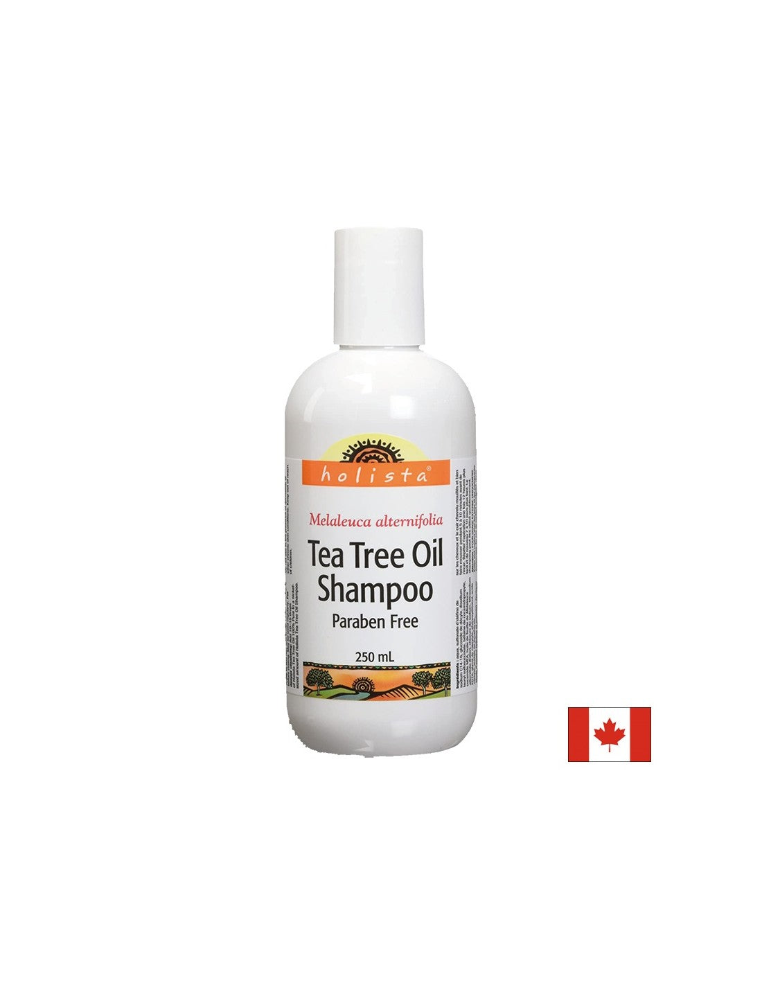 Šampon / šampon čajového oleje s olejem čajovníku x 250 ml