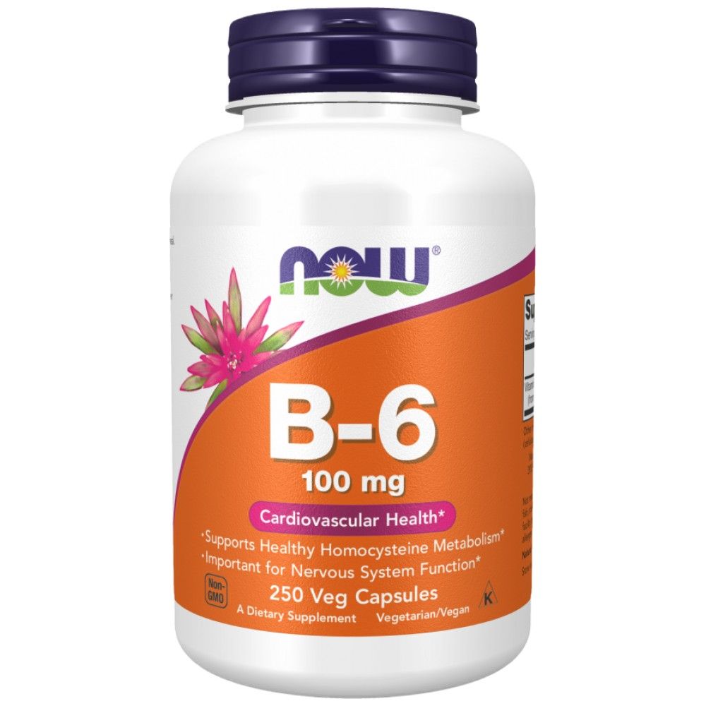 Vitaminas B -6 100 mg - 250 kapsulės