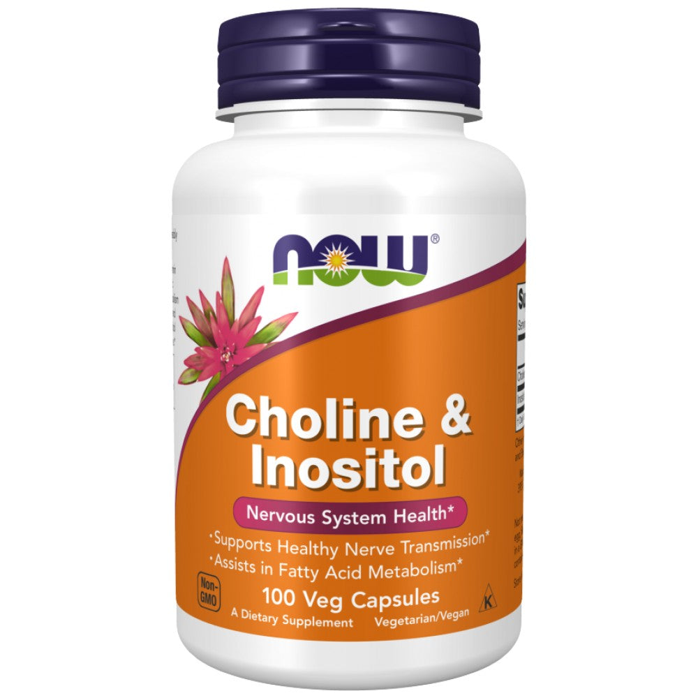 Choline & Inositol 500 mg - 100 capsules